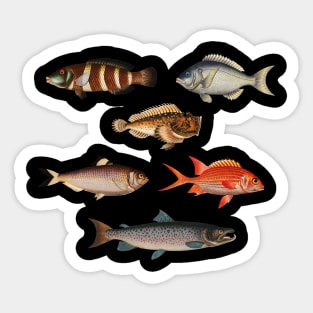 My Lucky Fishing Costume - Freshwater Fish Bass Sticker